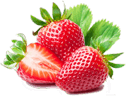 Alwefak fruit